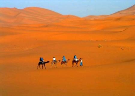 le saharae